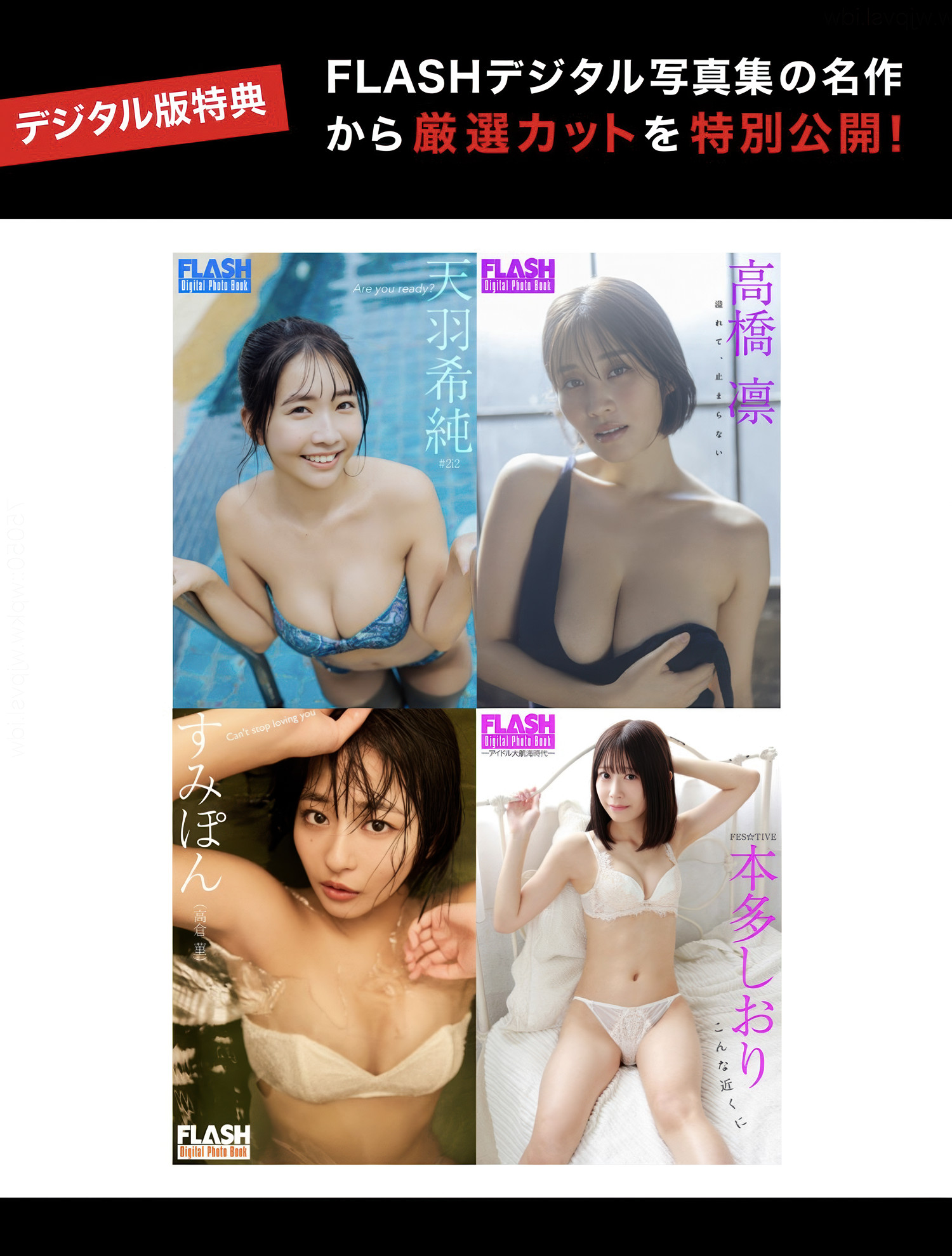 珍藏的 FLASH デジタル写真集名作，尽显摄影魅力