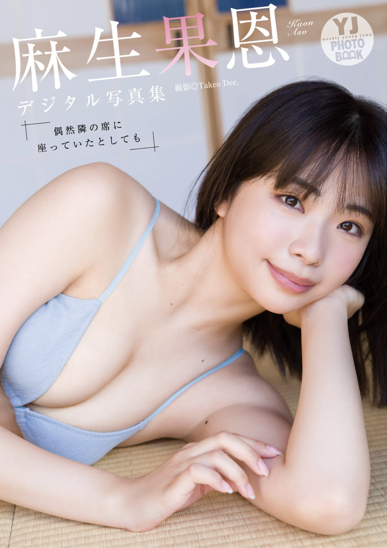 d90e5976d4174d0db234238813af1141-3