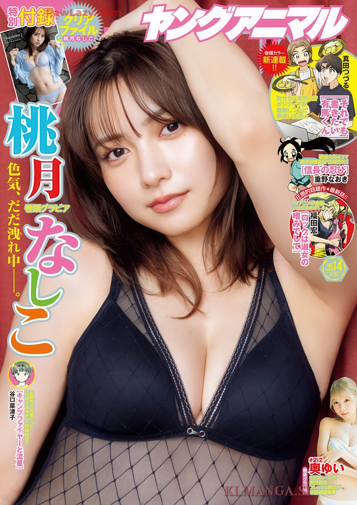 《2025 年 14 号 Young Animal：Nashiko Momotsuki 与 Yui Oku 的魅力》